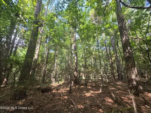 Saint Paul Road, Sandy Hook, MS 39478 photo 8