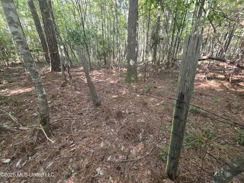 Saint Paul Road, Sandy Hook, MS 39478 photo 14