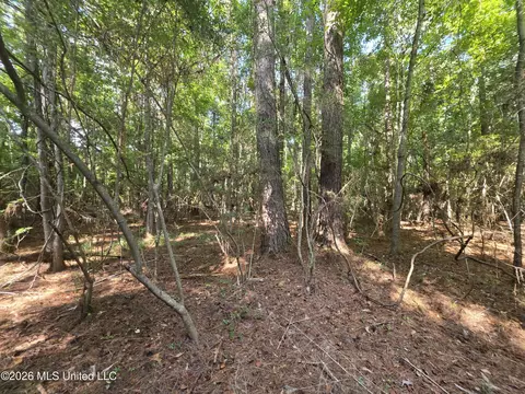 Saint Paul Road, Sandy Hook, MS 39478 photo 7