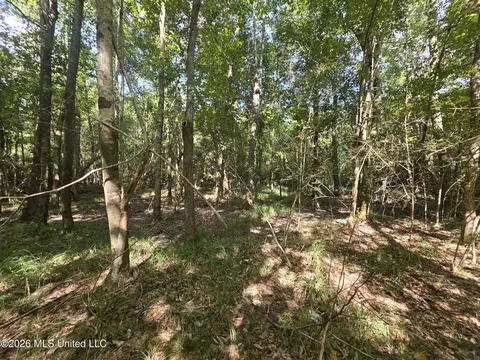 Saint Paul Road, Sandy Hook, MS 39478 photo 13