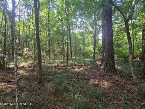 Saint Paul Road, Sandy Hook, MS 39478 photo 9