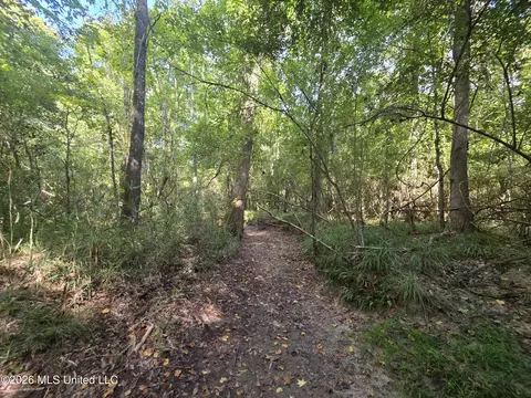 Saint Paul Road, Sandy Hook, MS 39478 photo 12