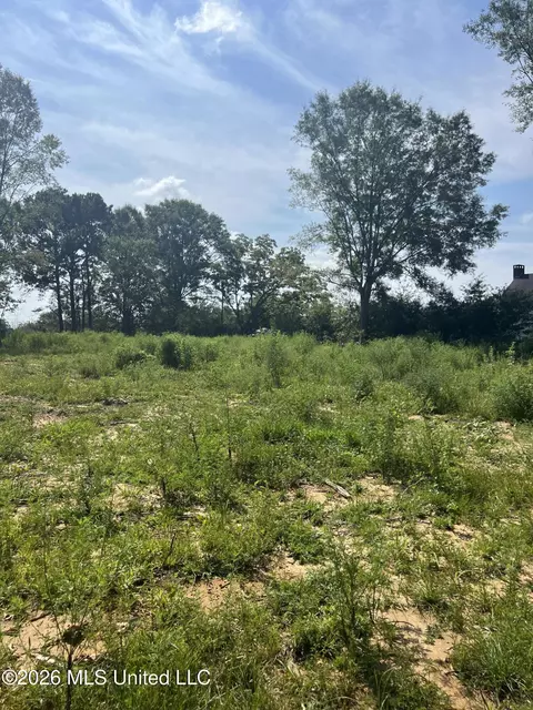 18029 Pecan Ct, Saucier, MS 39574 photo 2