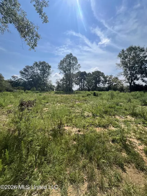 18029 Pecan Ct, Saucier, MS 39574 photo 3