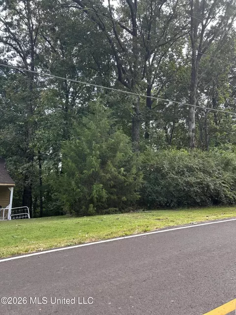 776 Black Hawk Dr, Hernando, MS 38632 photo 3