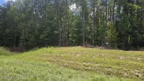 00 E Hwy 84 Rd, Roxie, MS 39661 photo 4