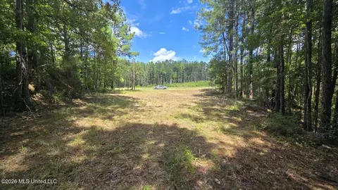 00 E Hwy 84 Rd, Roxie, MS 39661 photo 11