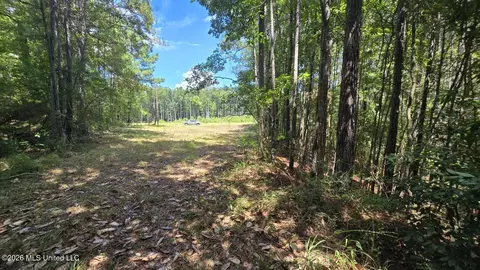 00 E Hwy 84 Rd, Roxie, MS 39661 photo 10