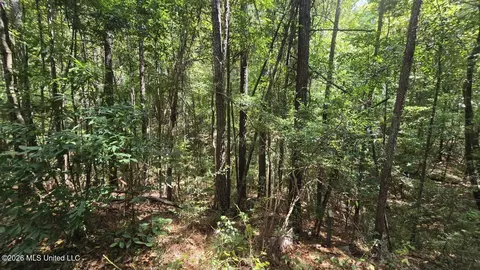 00 E Hwy 84 Rd, Roxie, MS 39661 photo 9