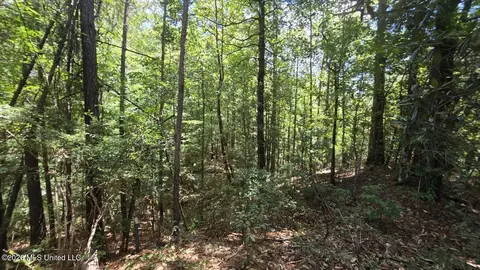 00 E Hwy 84 Rd, Roxie, MS 39661 photo 8