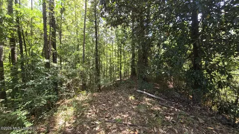 00 E Hwy 84 Rd, Roxie, MS 39661 photo 7