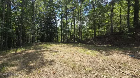 00 E Hwy 84 Rd, Roxie, MS 39661 photo 6