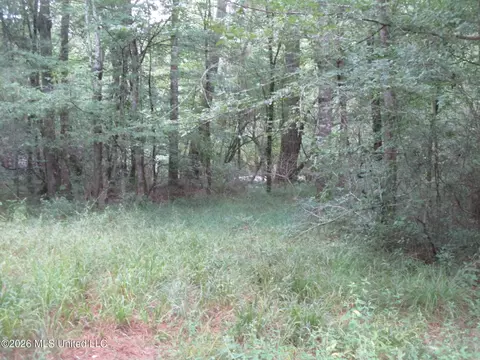 0000 N Joe Dyess Rd, Carson, MS 39427 photo 2