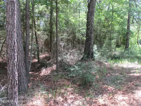 0000 N Joe Dyess Rd, Carson, MS 39427 photo 3