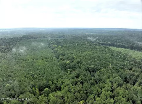 John Chambers Road, Roxie, MS 39661 photo 5