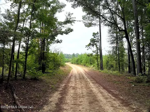 John Chambers Road, Roxie, MS 39661 photo 2