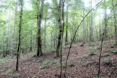 John Chambers Road, Roxie, MS 39661 photo 13