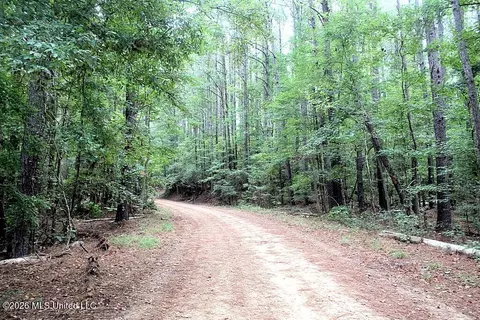 John Chambers Road, Roxie, MS 39661 photo 9