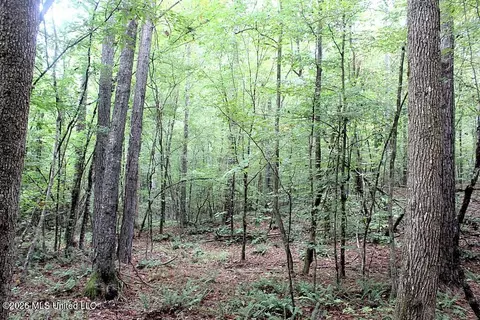 John Chambers Road, Roxie, MS 39661 photo 11