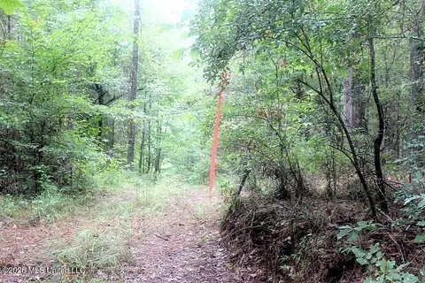 John Chambers Road, Roxie, MS 39661 photo 10