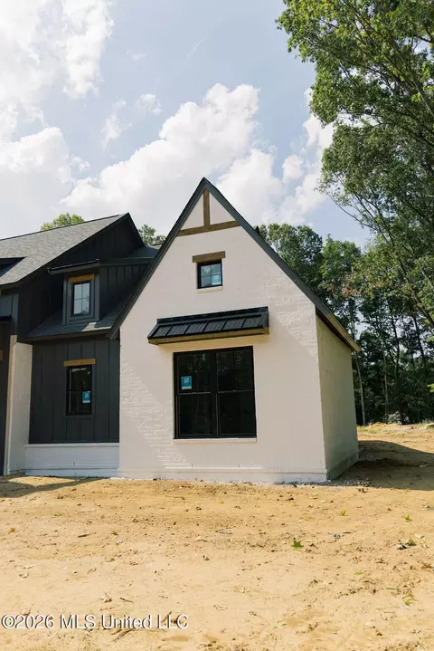 Exterior - 1582 Ella Cv, Hernando, MS 38632 photo 11 of 25