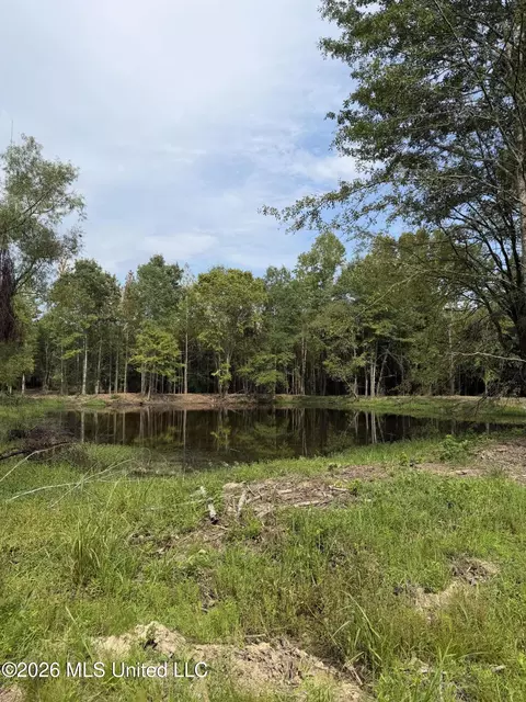 Potluck Road, Canton, MS 39046 photo 19