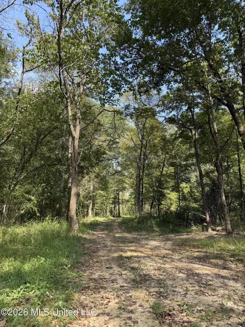 Potluck Road, Canton, MS 39046 photo 16