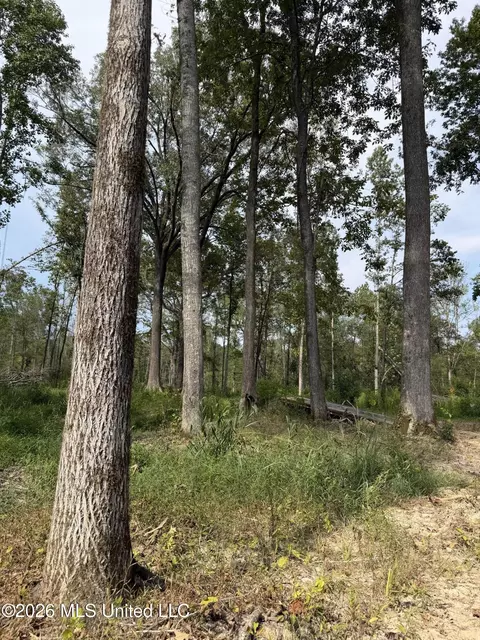 Potluck Road, Canton, MS 39046 photo 17