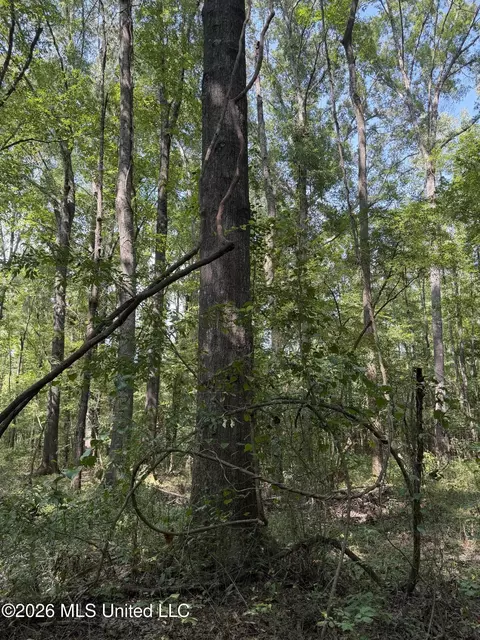 Potluck Road, Canton, MS 39046 photo 12