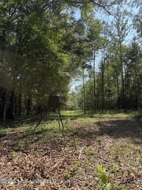 Potluck Road, Canton, MS 39046 photo 15
