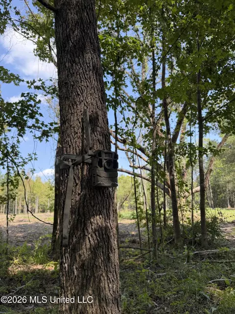 Potluck Road, Canton, MS 39046 photo 5