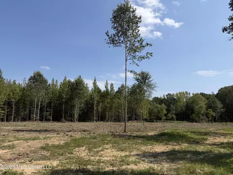 Potluck Road, Canton, MS 39046 photo 14