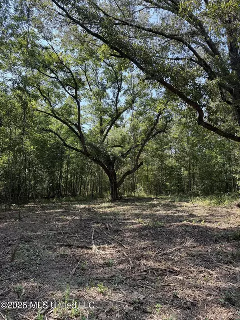 Potluck Road, Canton, MS 39046 photo 8