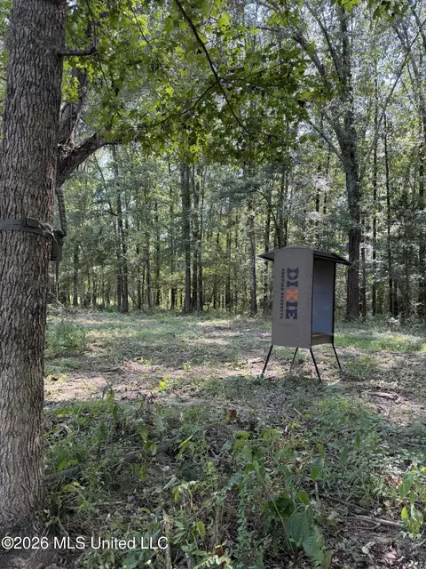 Potluck Road, Canton, MS 39046