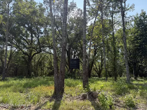 Potluck Road, Canton, MS 39046 photo 13