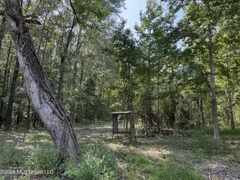 Potluck Road, Canton, MS 39046 photo 6