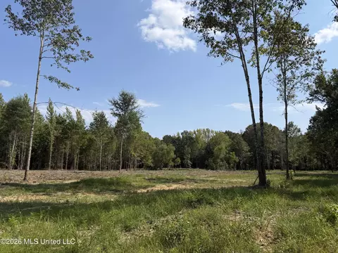Potluck Road, Canton, MS 39046 photo 4