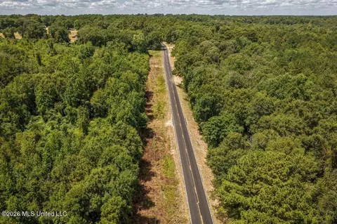 Joe Booth Road, Collins, MS 39428 photo 34