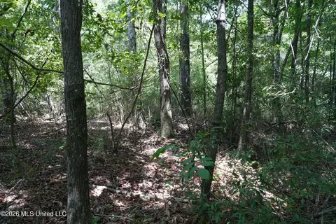 Joe Booth Road, Collins, MS 39428 photo 9