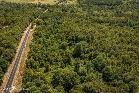 Joe Booth Road, Collins, MS 39428 photo 23
