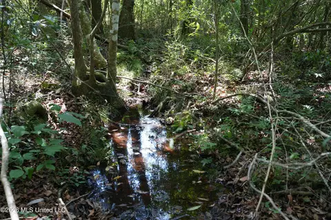Joe Booth Road, Collins, MS 39428 photo 16