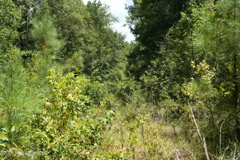 Joe Booth Road, Collins, MS 39428 photo 5