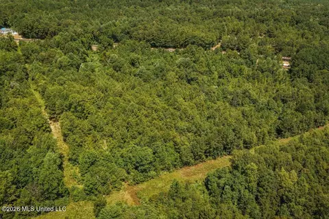 Joe Booth Road, Collins, MS 39428 photo 32