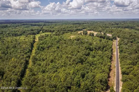 Joe Booth Road, Collins, MS 39428 photo 29