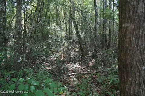 Joe Booth Road, Collins, MS 39428 photo 10