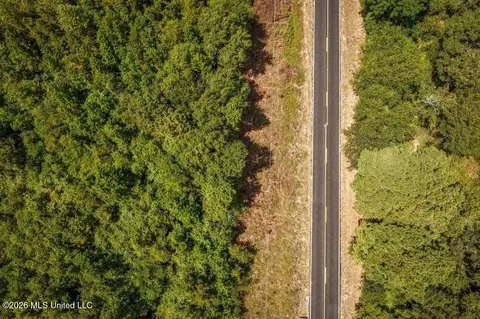 Joe Booth Road, Collins, MS 39428 photo 28