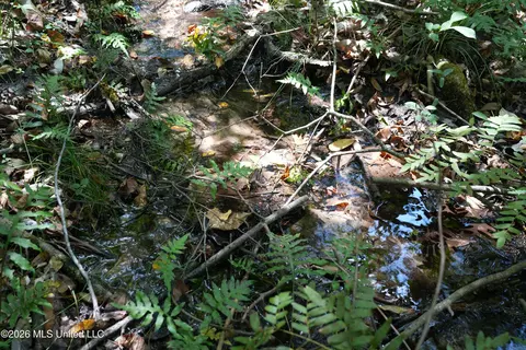 Joe Booth Road, Collins, MS 39428 photo 3