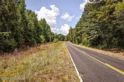 Joe Booth Road, Collins, MS 39428 photo 19