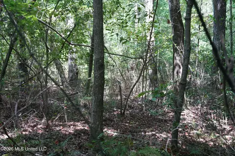 Joe Booth Road, Collins, MS 39428 photo 17