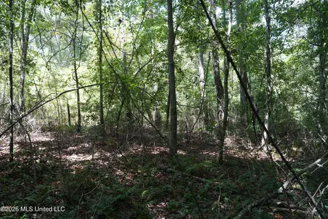 Joe Booth Road, Collins, MS 39428 photo 2